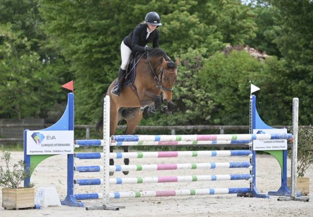Hongre 5ans cso amateur élite