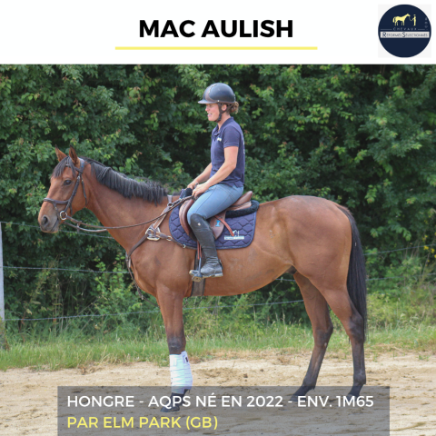 Mac aulish - aqps - 4 ans