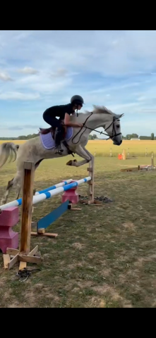 Cheval