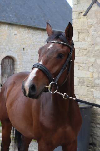 Neiti casallo 4 ans