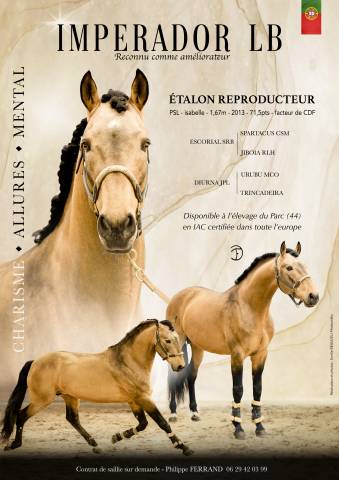 Imperador : imperador etalon lusitanien isabelle