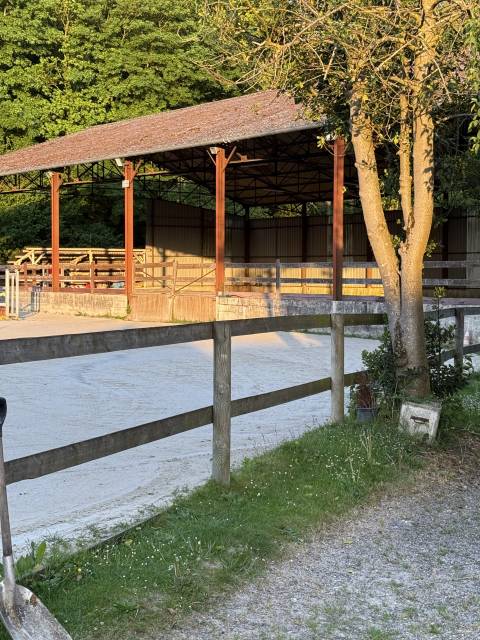 Pension chevaux