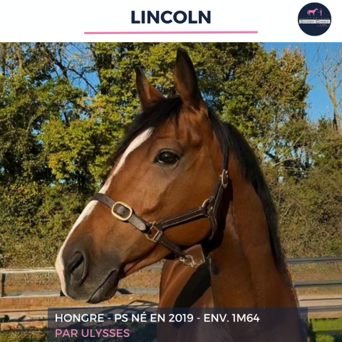 Lincoln - ps - 7 ans