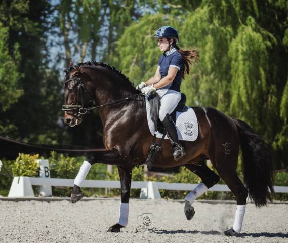 Antares de scuderia : antares de scuderia disponible en iac