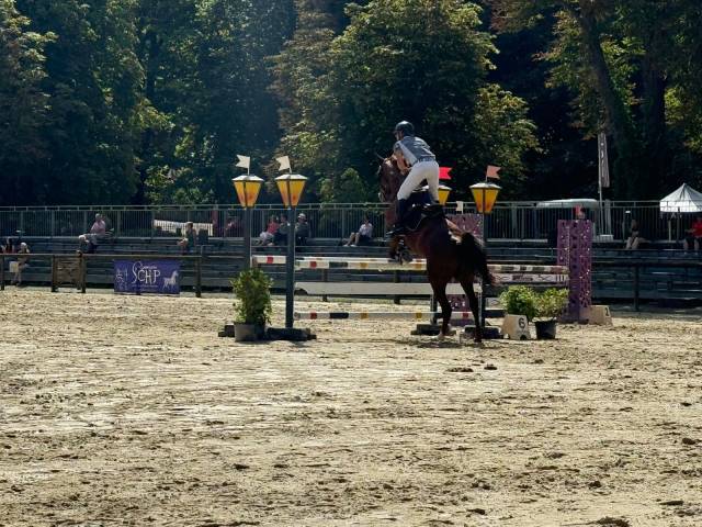 Jument cso