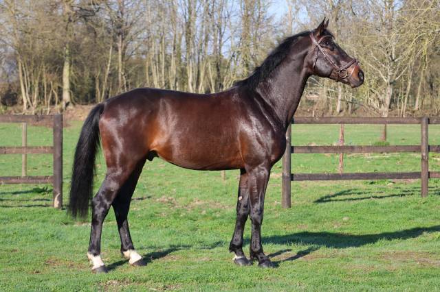 Gk quintus