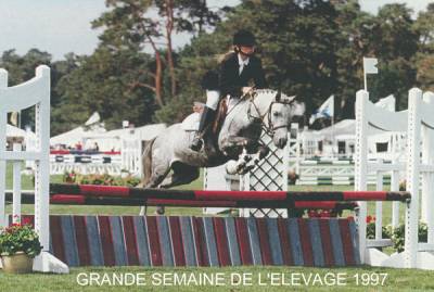 Excellent caractère, coup de saut, franchise, facilité