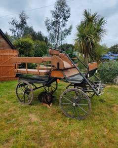 Hippomobile de loisirs