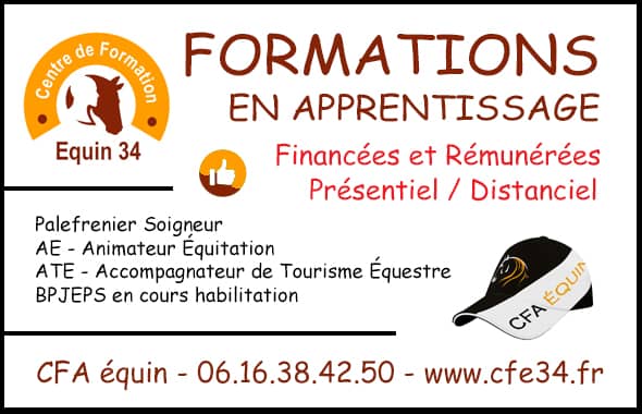 CFA ÉQUIN - Formation en apprentissage (présentiel/distanciel