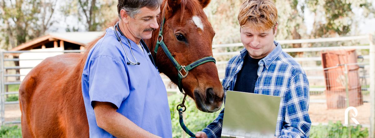 Formation équestre soins et santé du cheval