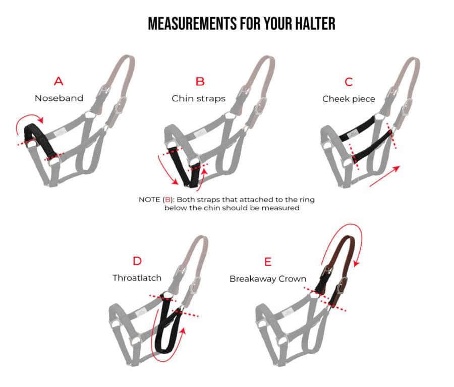 Prendre les mesures du licol Breakaway Thinline