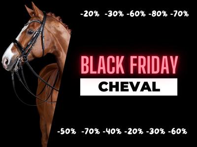 Black_friday équipement cheval