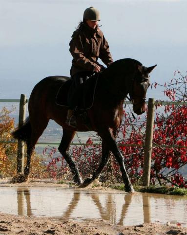 Monitrice indépendante et éthologue dans le Rhône (69)