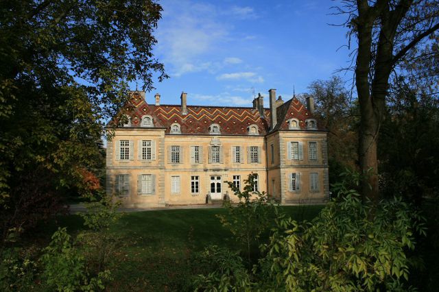 PENSION CHEVAUX JUMENTS PONEYS - ECURIE DU CHATEAU (21)