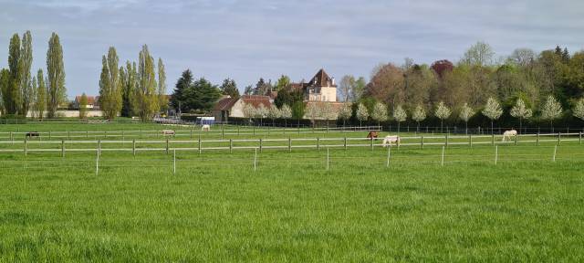 Pension pour chevaux