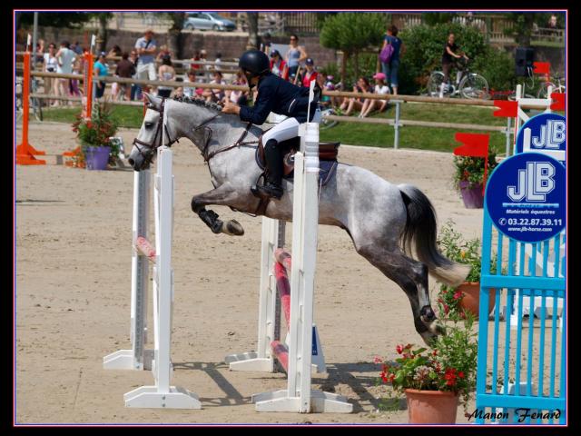 A VENDRE EXCELLENT PONEY POUR P ELITE