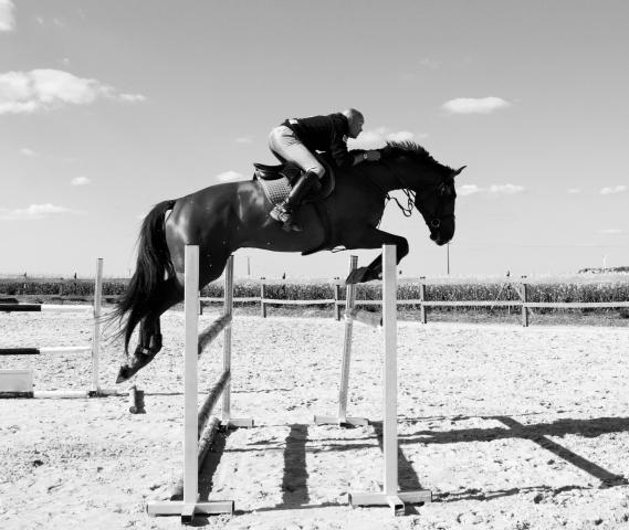 Moniteur et Cavalier  Florian SUARD