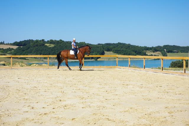 Pension Box/paddock/pré au bord du lac de la Ganguise