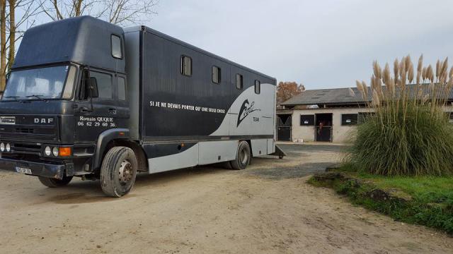 CAMION CHEVAUX DAF 8 PLACES