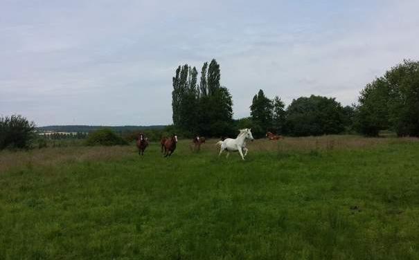 Pension au naturel - Picardie - Somme