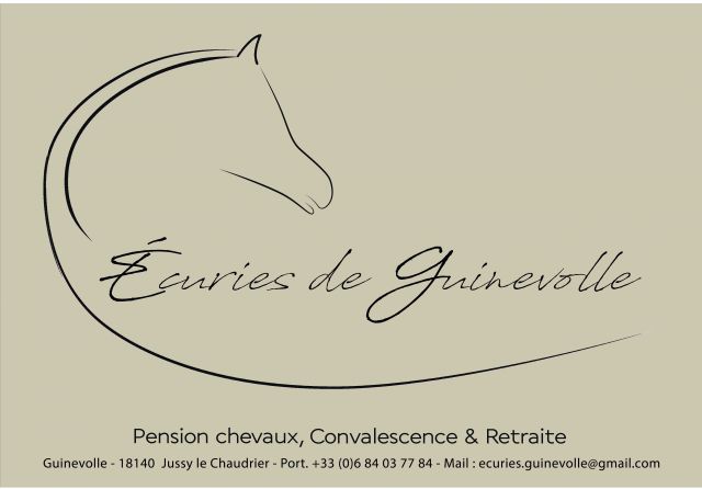 Pension chevaux / poneys / ânes 