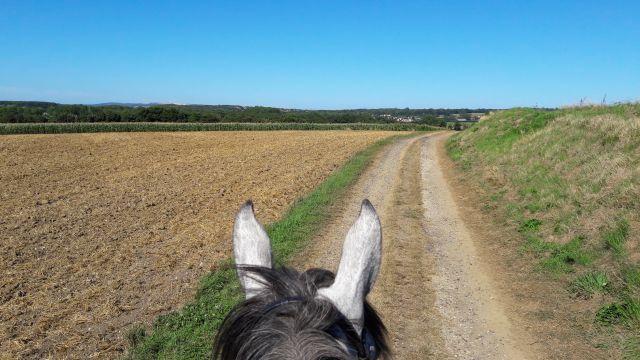 Les écuries d'Opale