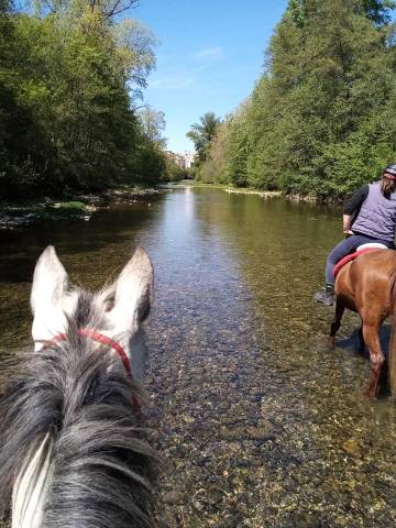 Pension pour chevaux