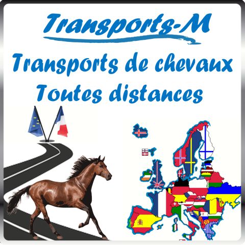 Transports-m transport toutes distances 