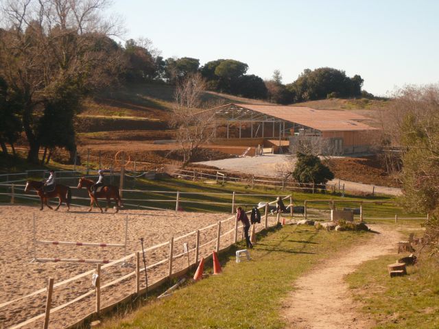 Pension chevaux proche Carcassonne