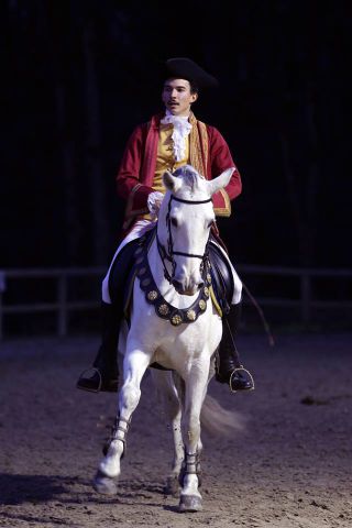 Cours d'équitation indépendants