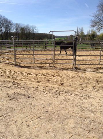 pension chevaux