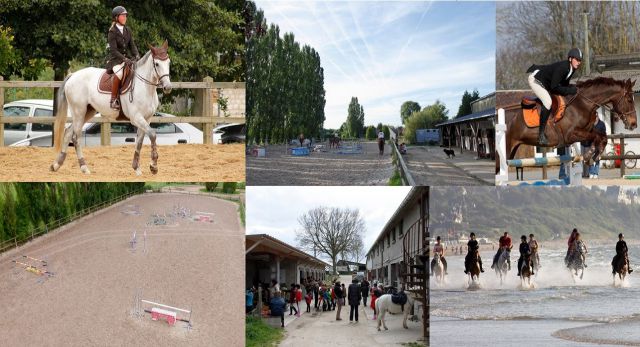 pension à l'écurie des reflets 