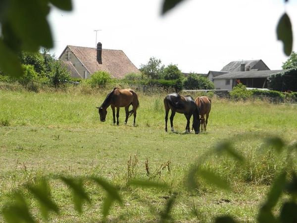 Ecuries de Plainvilliers