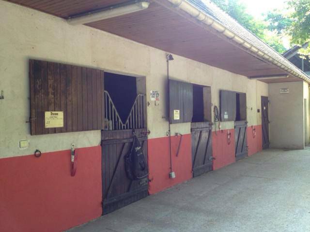 pension poney, cheval essonne