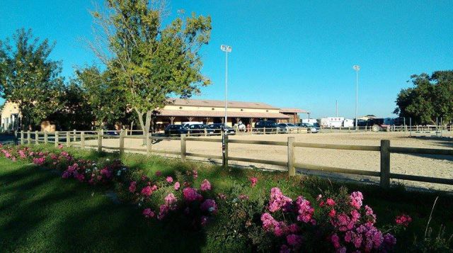 Toulouse - Ecurie de propriétaires / Ecole d'équitation