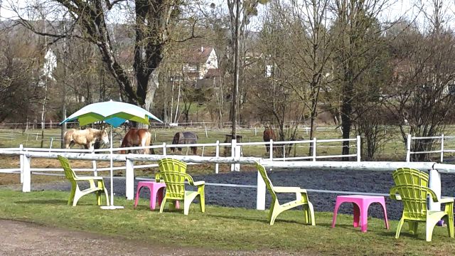 Pension proche de dijon - Haras de la Bussière (21)