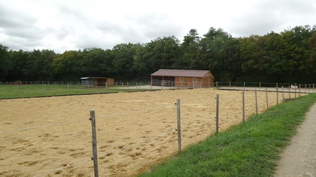 Pension de chevaux