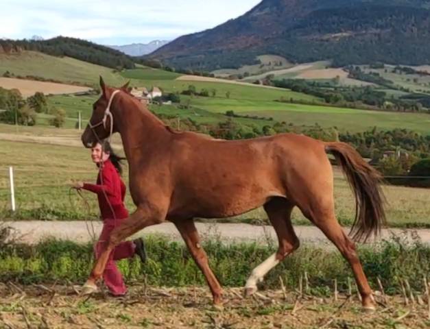 Hazyna, une princesse russe, dans l'écoute et l'énergie