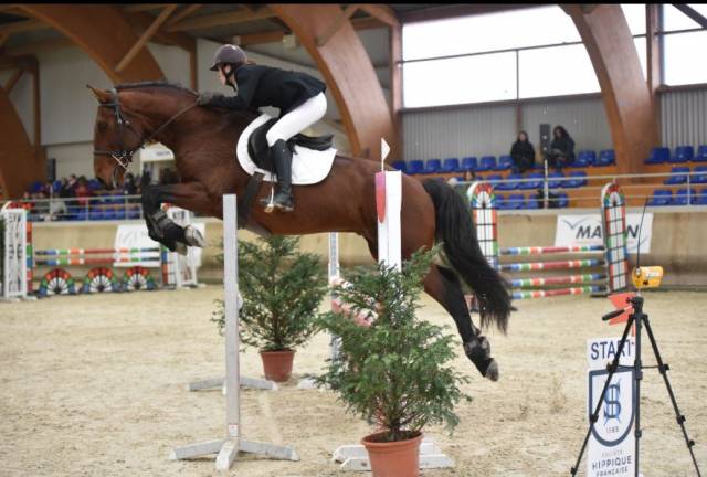 Formation en apprentissage : Animateur d'équitation 