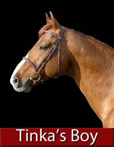 Tinka's boy : tinka's boy