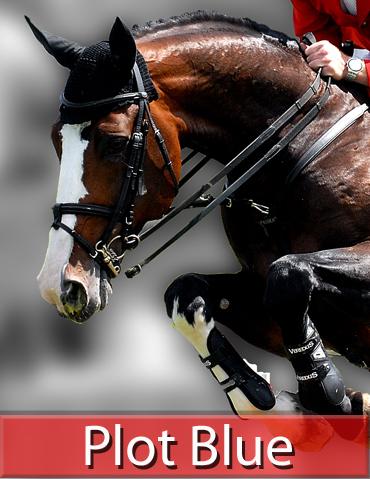 Plot blue : plot blue