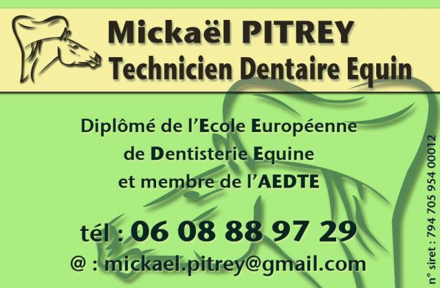 Mickael Pitrey - TECHNICIEN DENTAIRE EQUIN