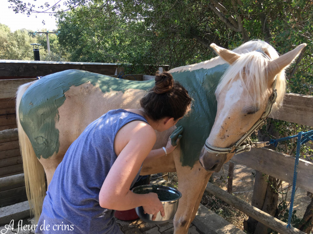 Massages, stretching et enveloppements aux algues