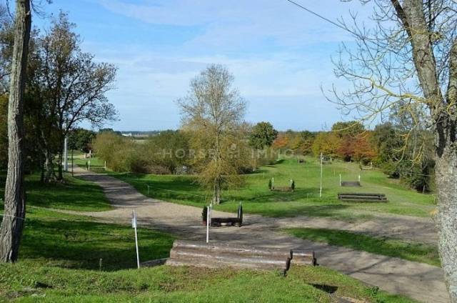 Domaine équestre et habitation aux portes d'Orléans