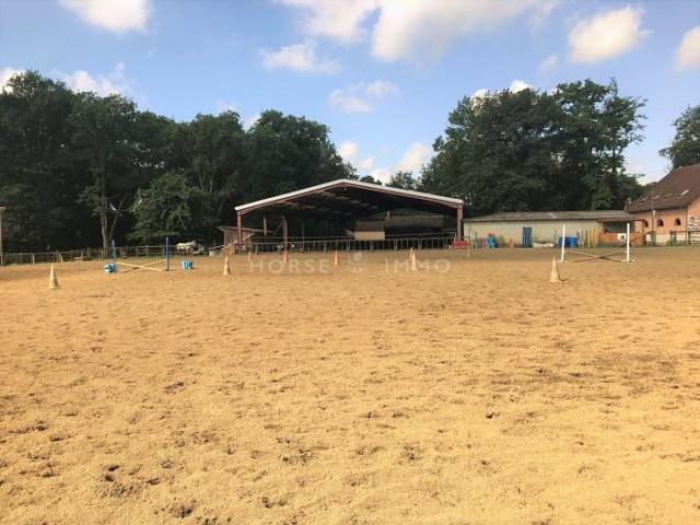 Poney-club et centre equestre en activité