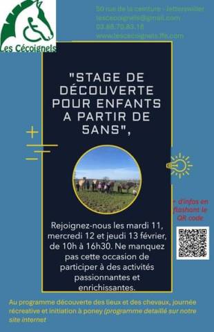 Journée pour les enfants/stages d'initiation