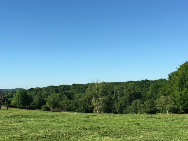 Ecurie de proprietaire secteur Le Breuil en auge