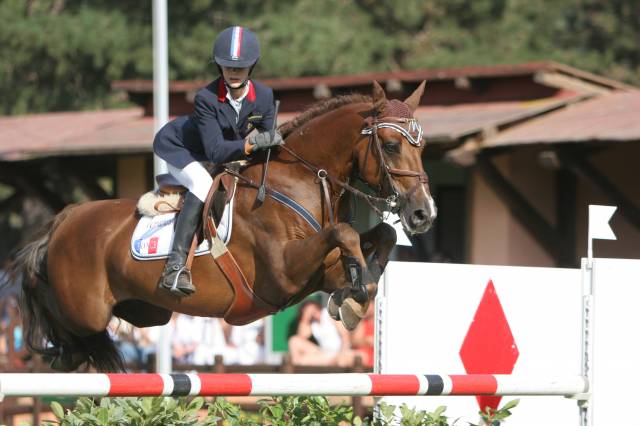 Imperial du blin : saillie d'un etalon, performer international