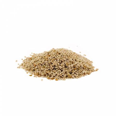 Super Sandexx Psyllium - Horse Remedy