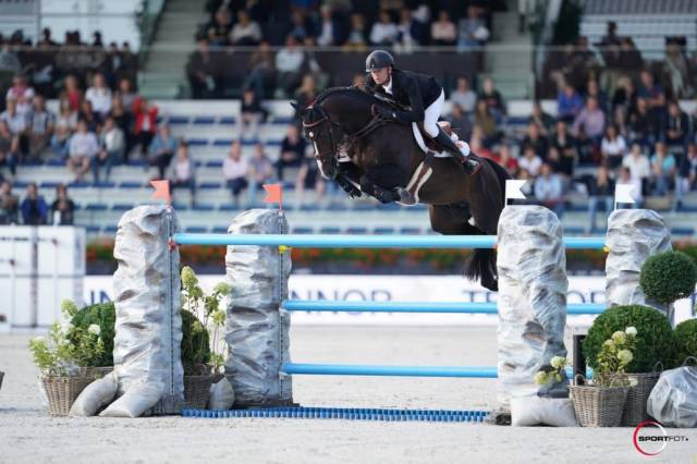 Quel homme de hus : quel homme de hus - 2006 - bai - 1m66 - sf